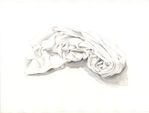 Curled-up Sheet, 2004